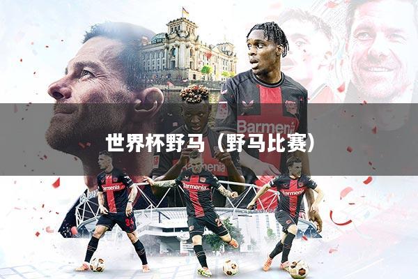详细阅读:世界杯野马(野马比赛) 世界杯野马(野马比赛)