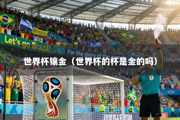 详细阅读:世界杯镶金(世界杯的杯是金的吗) 世界杯镶金(世界杯的杯是金的吗)