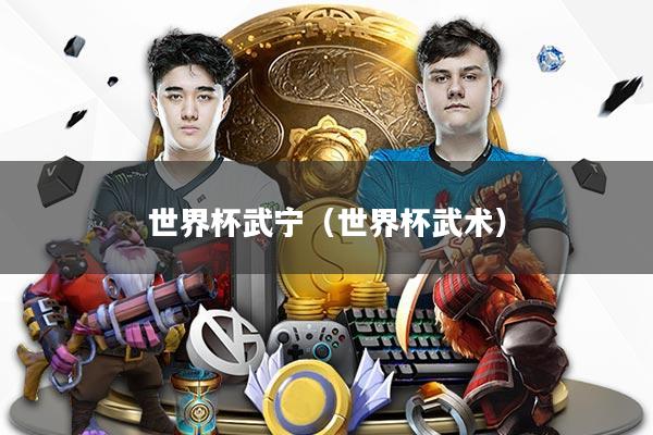 世界杯武宁（世界杯武术）