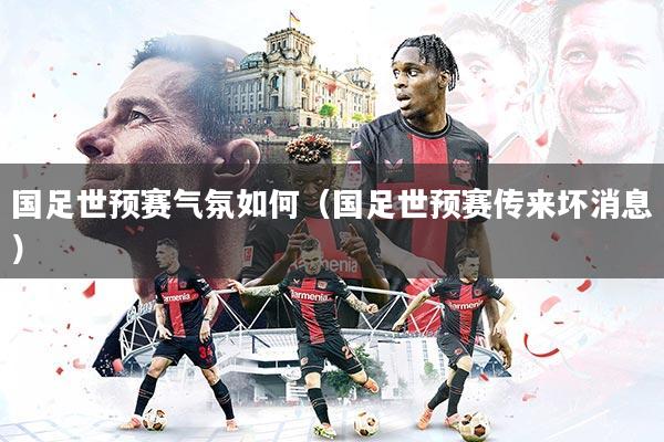 国足世预赛气氛如何（国足世预赛传来坏消息）