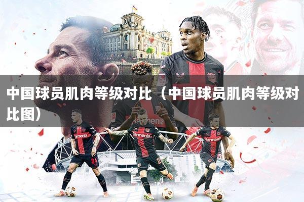 中国球员肌肉等级对比（中国球员肌肉等级对比图）