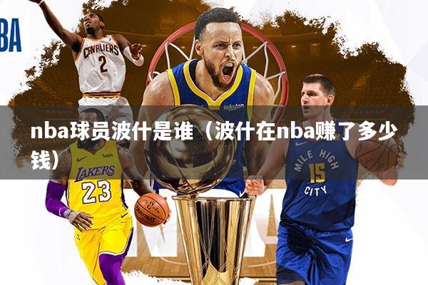 nba球员波什是谁（波什在nba赚了多少钱）
